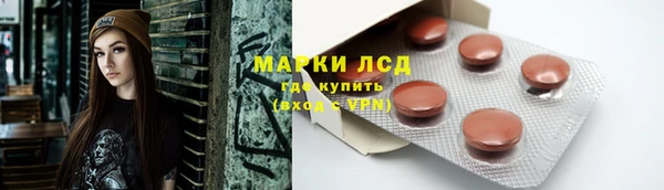 бошки Бородино