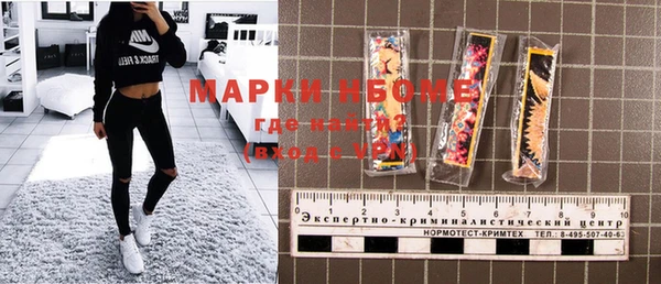 бошки Бородино