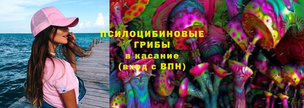бошки Бородино