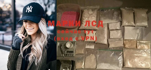 бошки Бородино